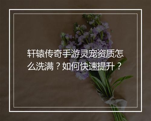 轩辕传奇手游灵宠资质怎么洗满？如何快速提升？
