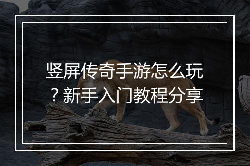 竖屏传奇手游怎么玩？新手入门教程分享