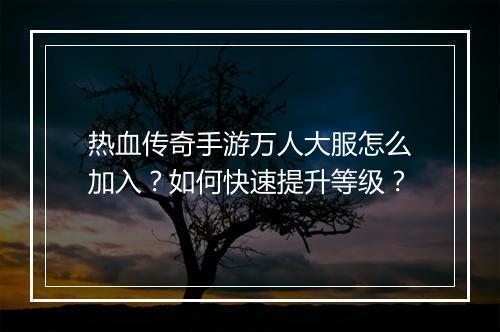 热血传奇手游万人大服怎么加入？如何快速提升等级？