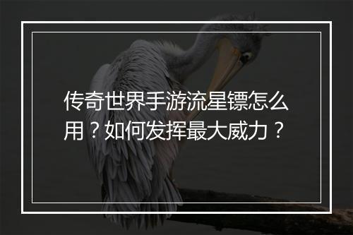 传奇世界手游流星镖怎么用？如何发挥最大威力？