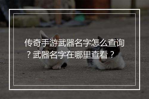 传奇手游武器名字怎么查询？武器名字在哪里查看？