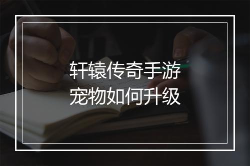 轩辕传奇手游宠物如何升级