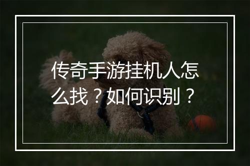 传奇手游挂机人怎么找？如何识别？
