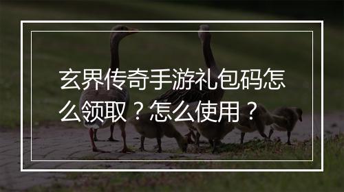 玄界传奇手游礼包码怎么领取？怎么使用？