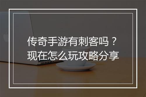 传奇手游有刺客吗?现在怎么玩攻略分享