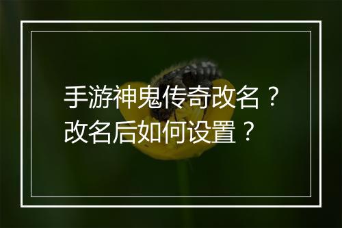 手游神鬼传奇改名？改名后如何设置？