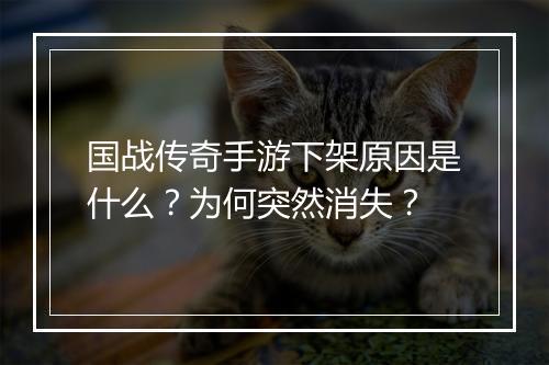 国战传奇手游下架原因是什么？为何突然消失？