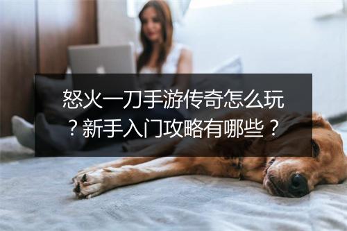 怒火一刀手游传奇怎么玩？新手入门攻略有哪些？