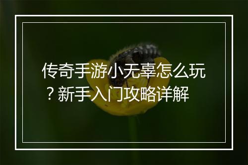 传奇手游小无辜怎么玩？新手入门攻略详解