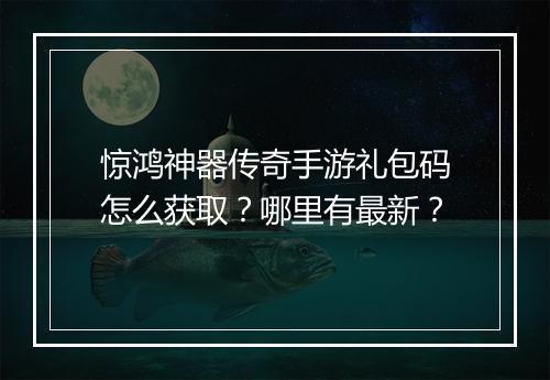 惊鸿神器传奇手游礼包码怎么获取？哪里有最新？