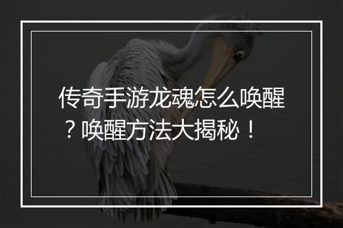 传奇手游龙魂怎么唤醒？唤醒方法大揭秘！