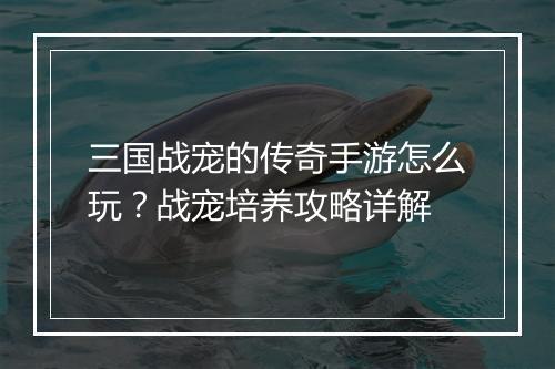 三国战宠的传奇手游怎么玩？战宠培养攻略详解