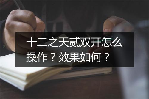 十二之天贰双开怎么操作？效果如何？