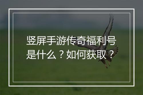 竖屏手游传奇福利号是什么？如何获取？