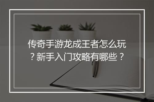 传奇手游龙成王者怎么玩？新手入门攻略有哪些？