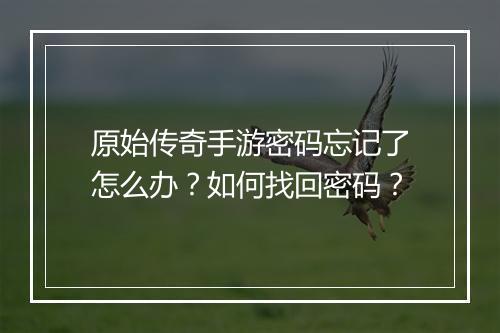 原始传奇手游密码忘记了怎么办？如何找回密码？