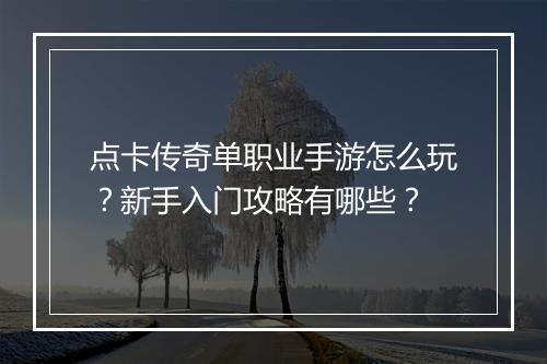 点卡传奇单职业手游怎么玩？新手入门攻略有哪些？