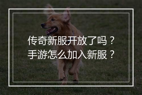 传奇新服开放了吗？手游怎么加入新服？