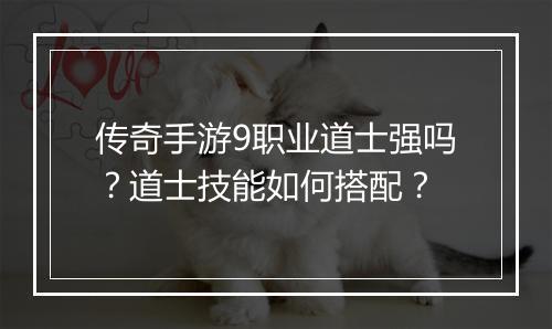 传奇手游9职业道士强吗？道士技能如何搭配？