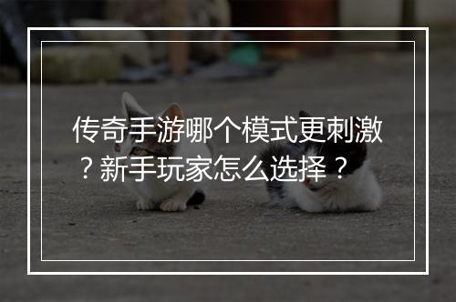 传奇手游哪个模式更刺激？新手玩家怎么选择？