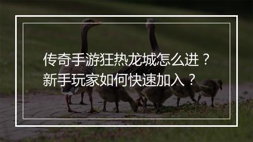 传奇手游狂热龙城怎么进？新手玩家如何快速加入？