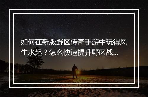 如何在新版野区传奇手游中玩得风生水起？怎么快速提升野区战斗力？