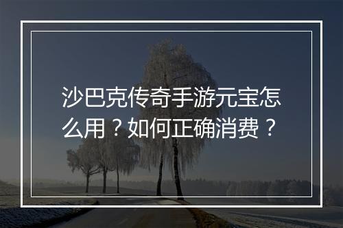 沙巴克传奇手游元宝怎么用？如何正确消费？