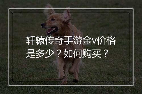 轩辕传奇手游金v价格是多少？如何购买？