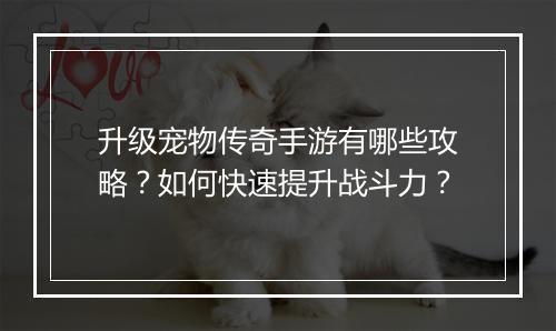 升级宠物传奇手游有哪些攻略？如何快速提升战斗力？
