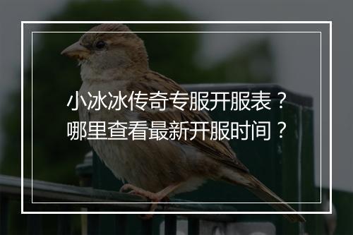 小冰冰传奇专服开服表？哪里查看最新开服时间？