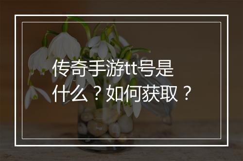 传奇手游tt号是什么？如何获取？