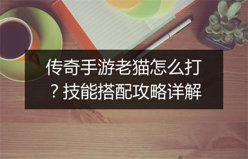 传奇手游老猫怎么打？技能搭配攻略详解