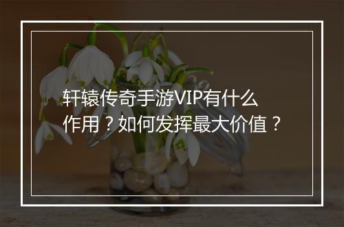 轩辕传奇手游VIP有什么作用？如何发挥最大价值？