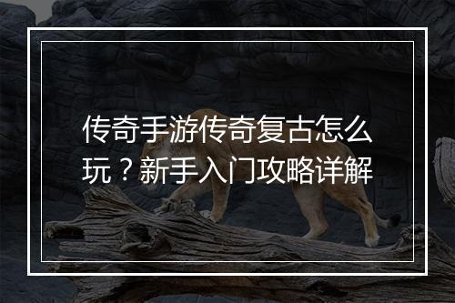 传奇手游传奇复古怎么玩？新手入门攻略详解
