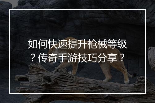 如何快速提升枪械等级？传奇手游技巧分享？