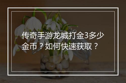 传奇手游龙城打金3多少金币？如何快速获取？