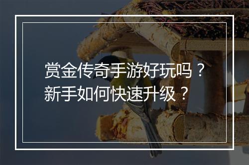 赏金传奇手游好玩吗？新手如何快速升级？