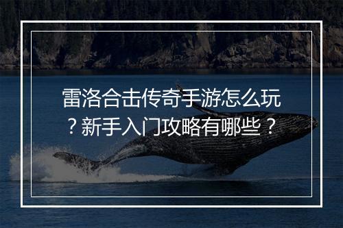 雷洛合击传奇手游怎么玩？新手入门攻略有哪些？