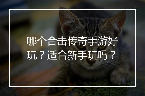 哪个合击传奇手游好玩？适合新手玩吗？