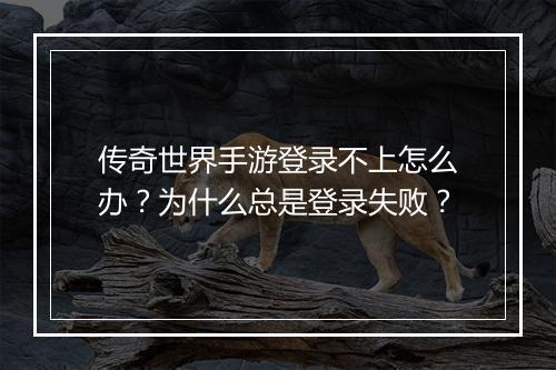 传奇世界手游登录不上怎么办？为什么总是登录失败？