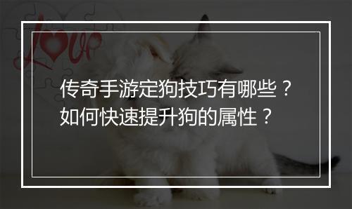 传奇手游定狗技巧有哪些？如何快速提升狗的属性？