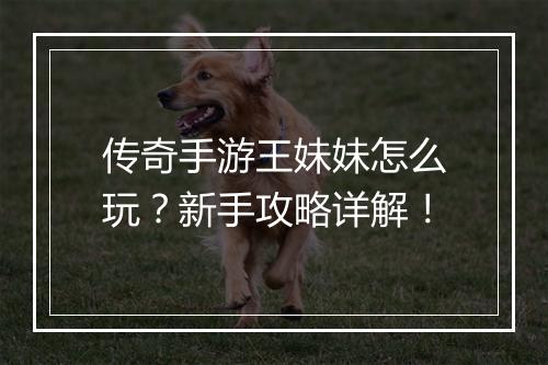 传奇手游王妹妹怎么玩？新手攻略详解！