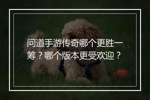 问道手游传奇哪个更胜一筹？哪个版本更受欢迎？