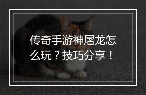 传奇手游神屠龙怎么玩？技巧分享！