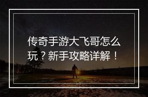 传奇手游大飞哥怎么玩？新手攻略详解！