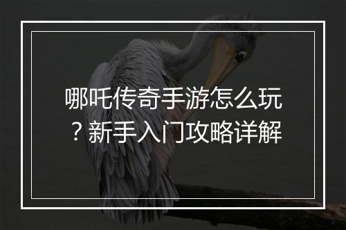 哪吒传奇手游怎么玩？新手入门攻略详解