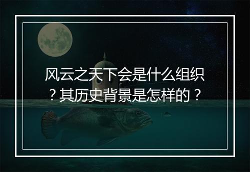 风云之天下会是什么组织？其历史背景是怎样的？