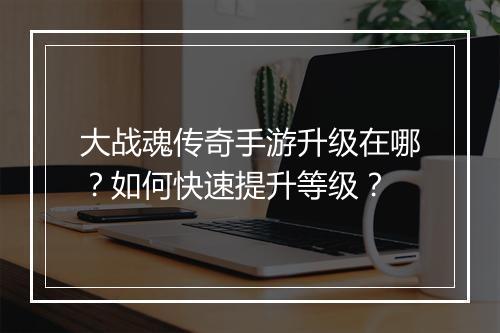 大战魂传奇手游升级在哪？如何快速提升等级？