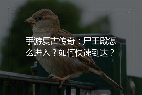 手游复古传奇：尸王殿怎么进入？如何快速到达？