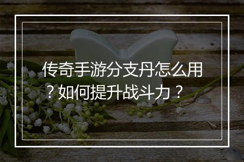 传奇手游分支丹怎么用？如何提升战斗力？
